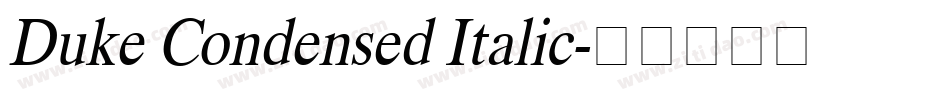 Duke Condensed Italic字体转换